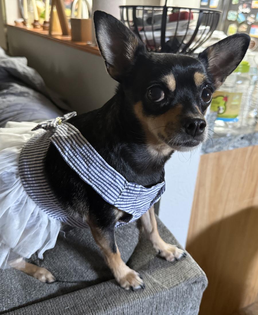 Chloe