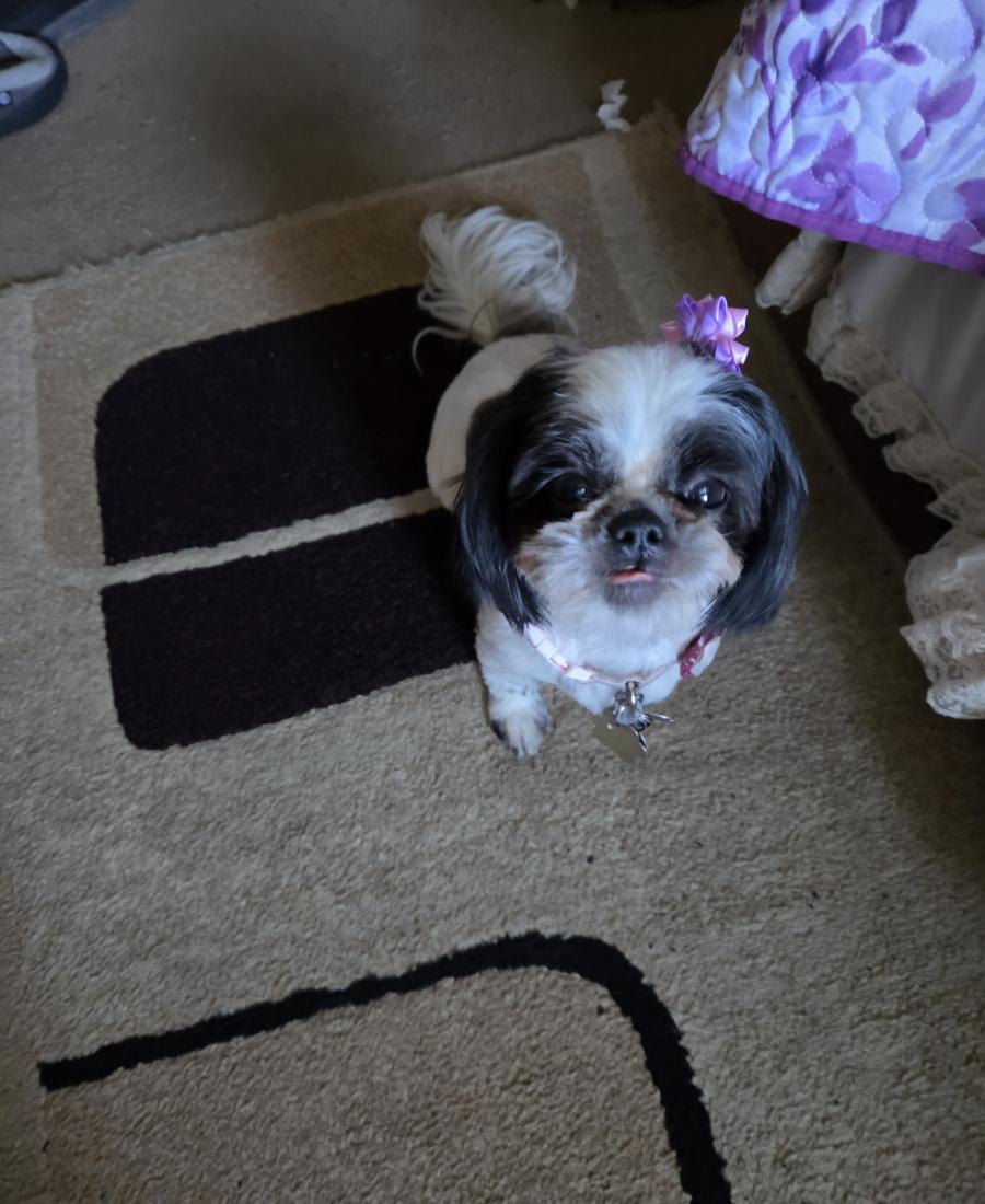 Zoey