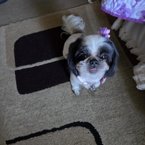 Zoey