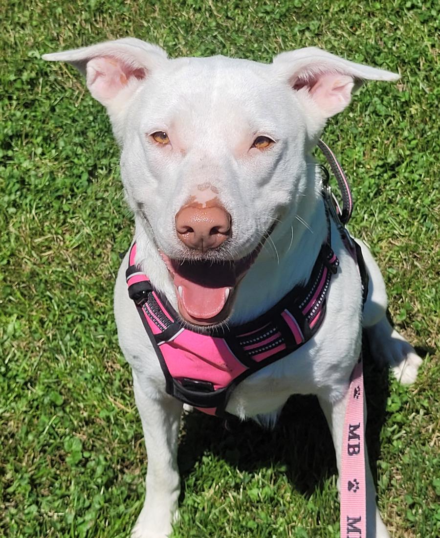 Winnie