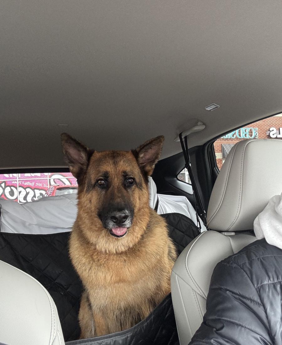 Jax