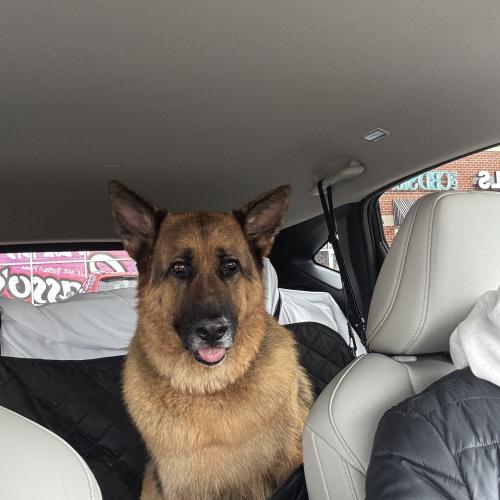 Jax
