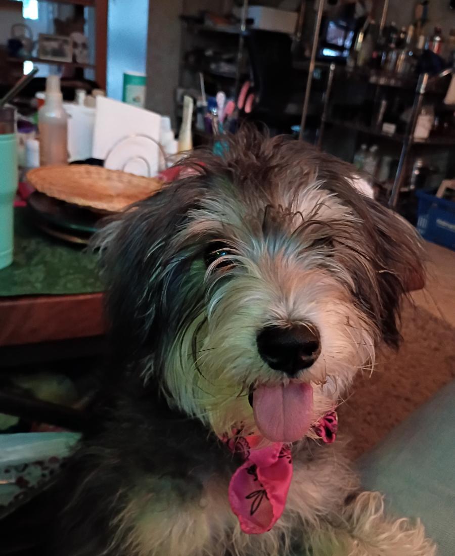 Yuki