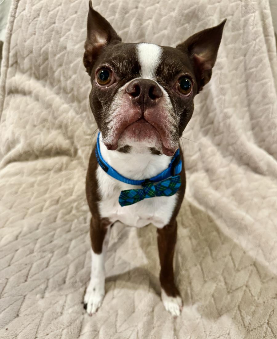 Kona