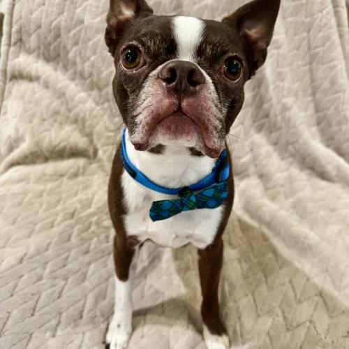 Kona