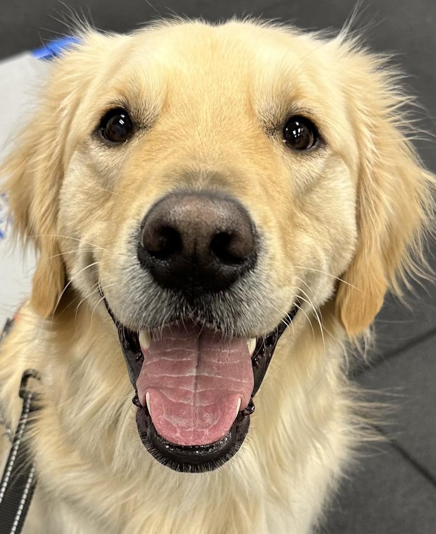 Charlie
