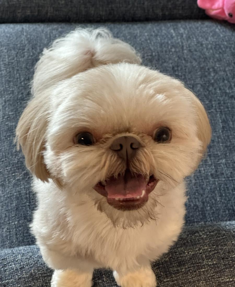 Charlie