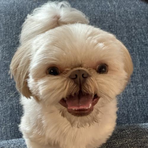 Charlie