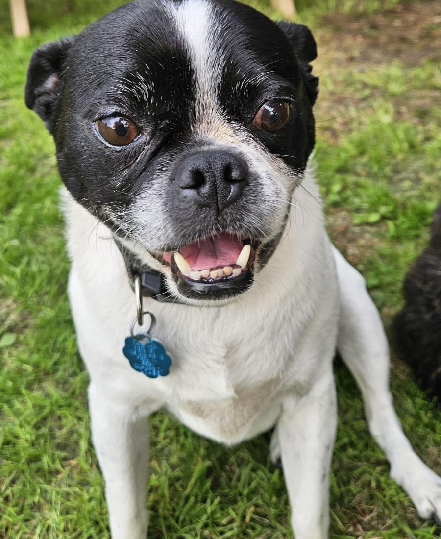 Milo