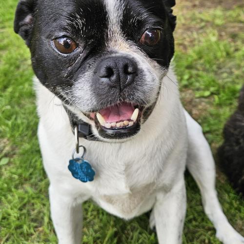 Milo
