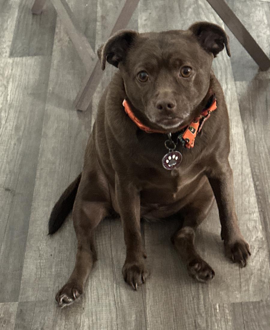 Ava