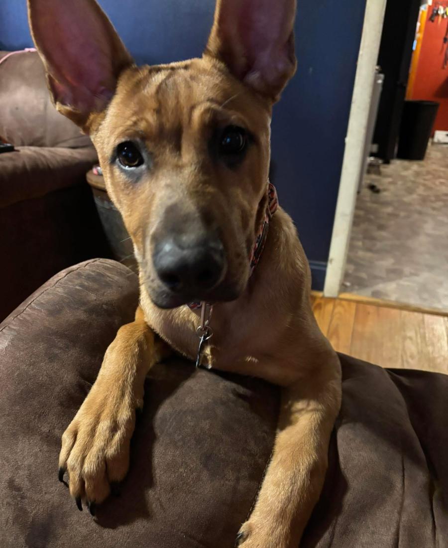 Jax