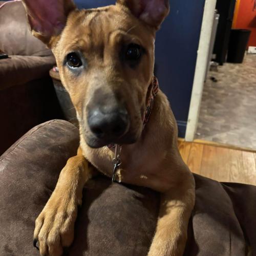 Jax