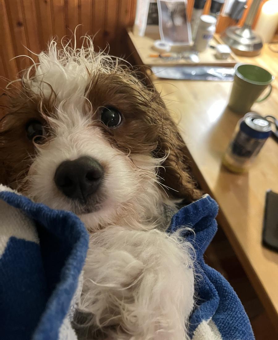 Benny