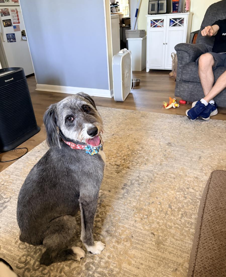 Bella