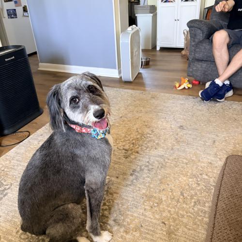 Bella