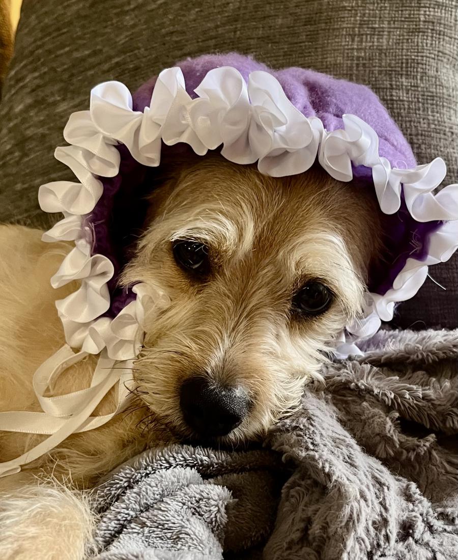 Trixie