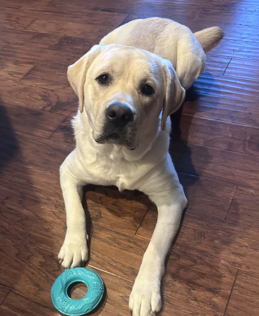 Oakley