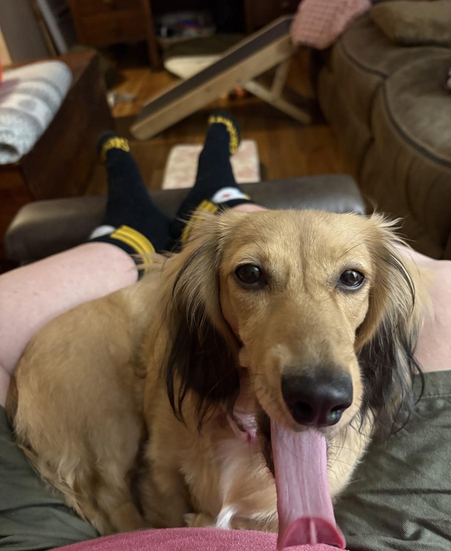 Cinnamon