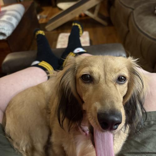 Cinnamon
