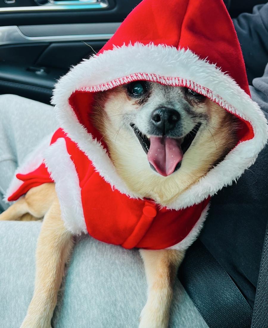 Chico Jo