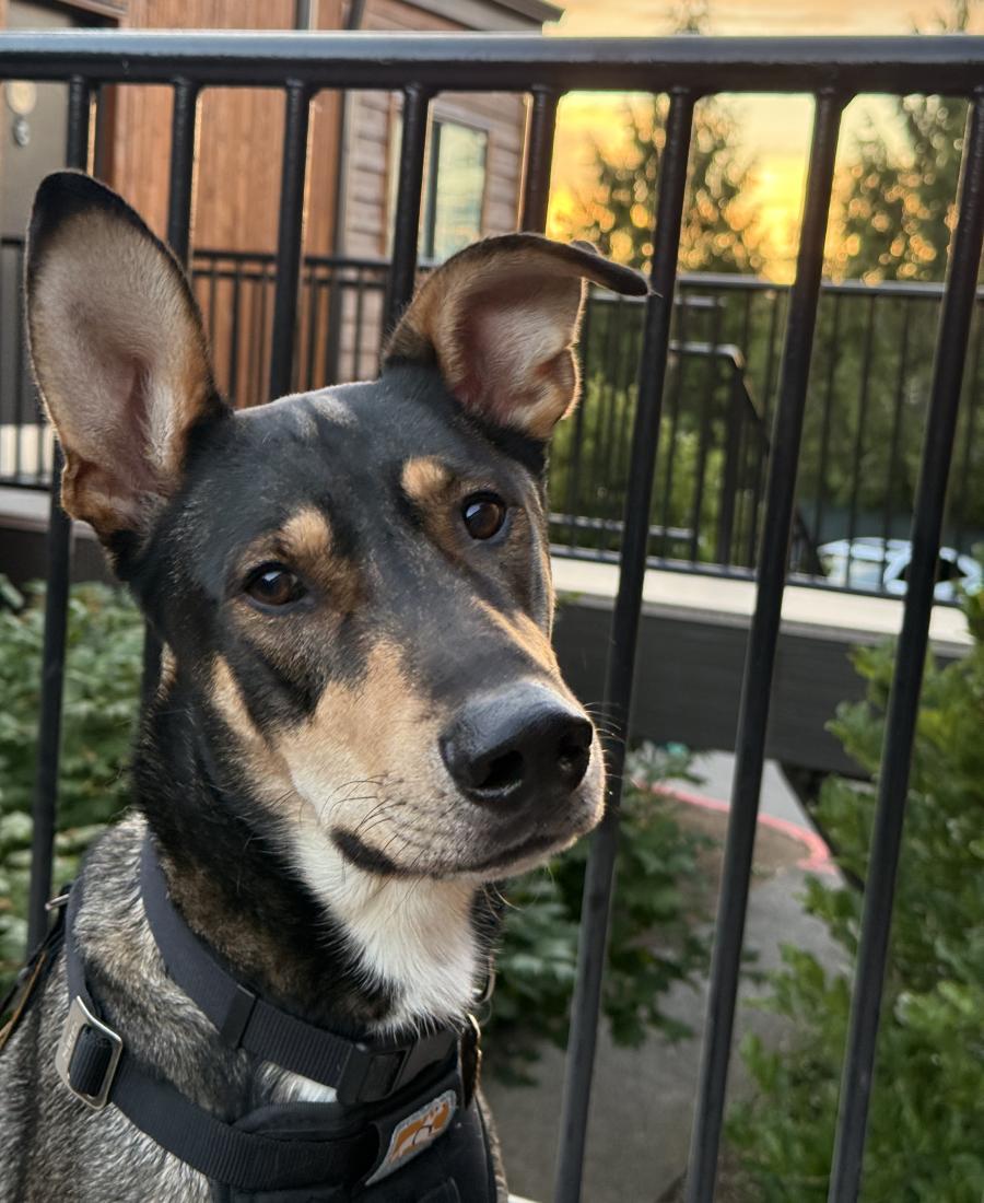 Kenai
