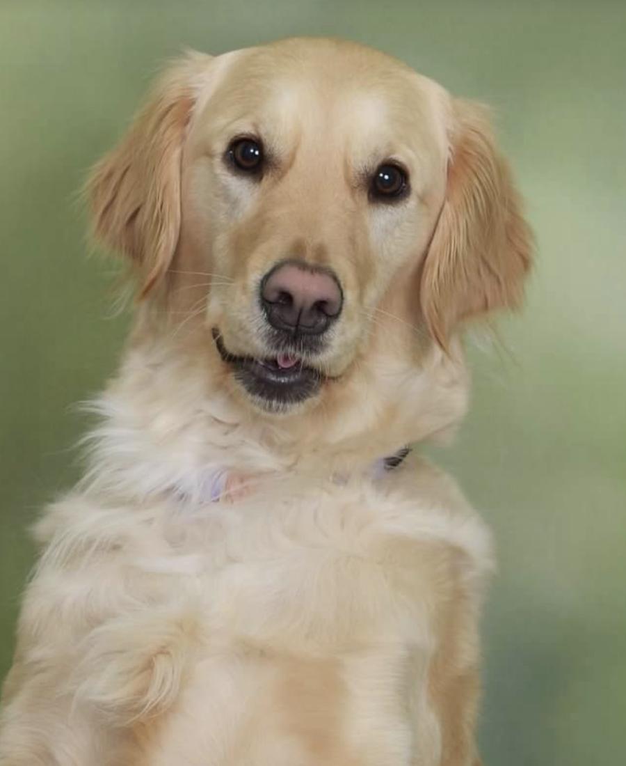 Gia