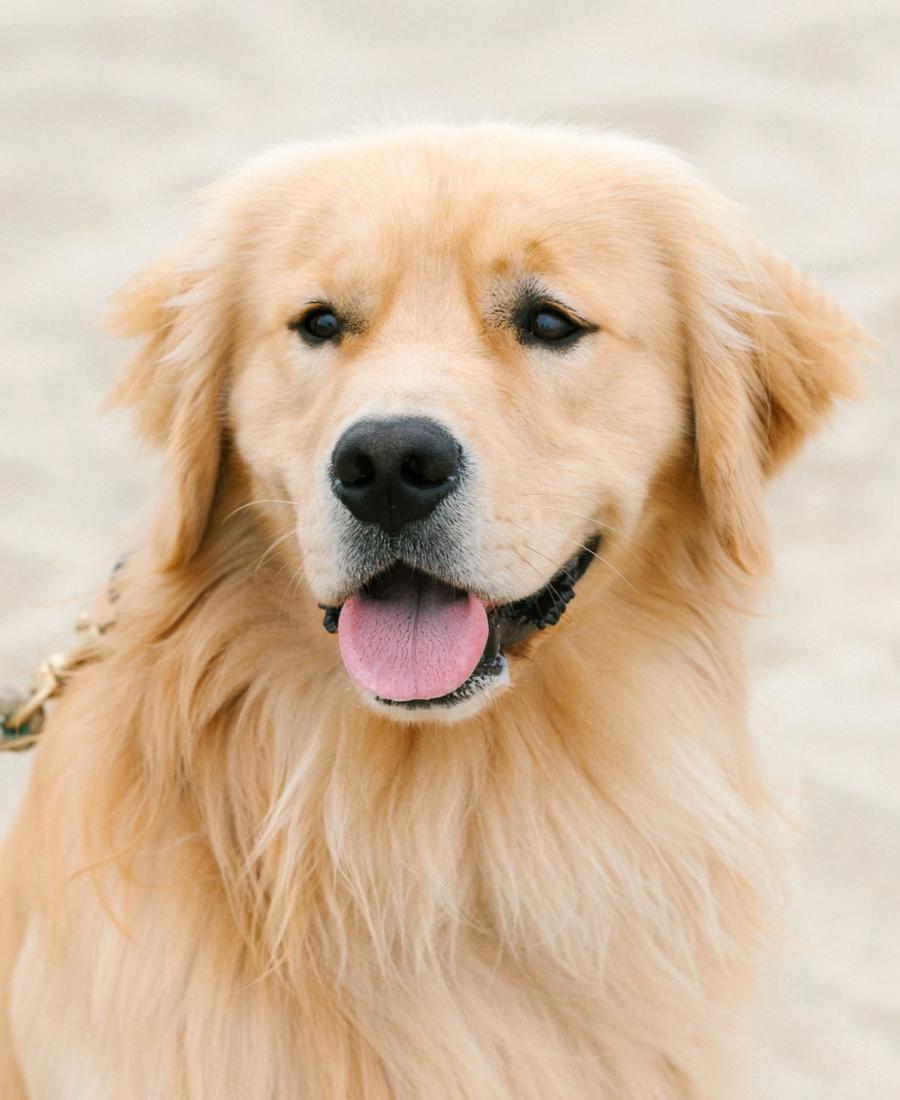 Tucker