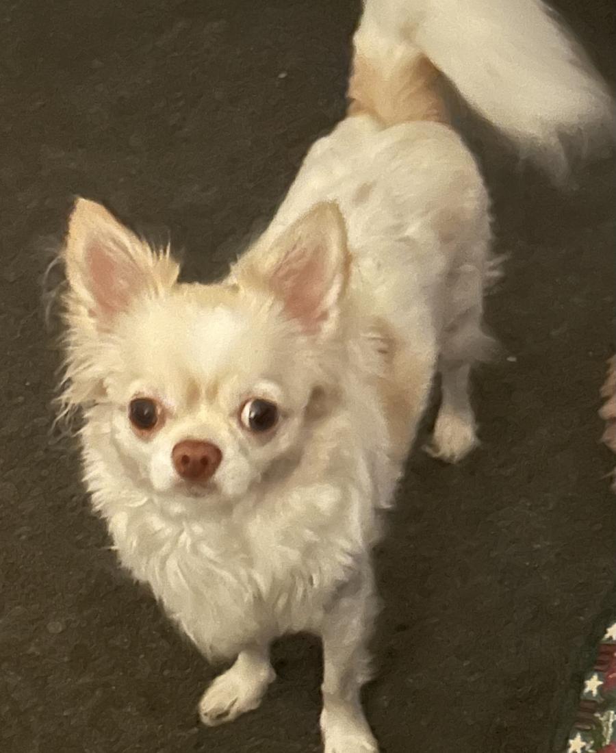 Nevaeh