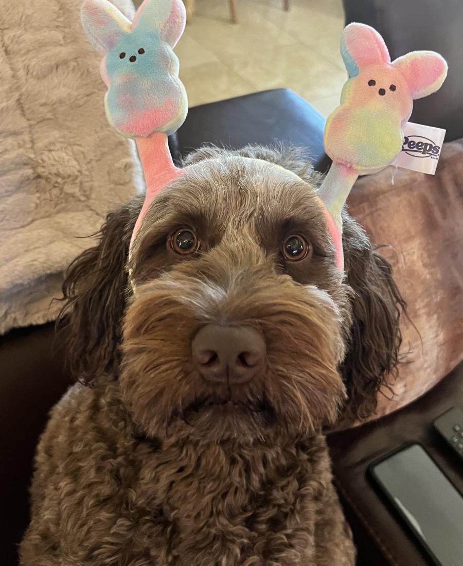 Zoey
