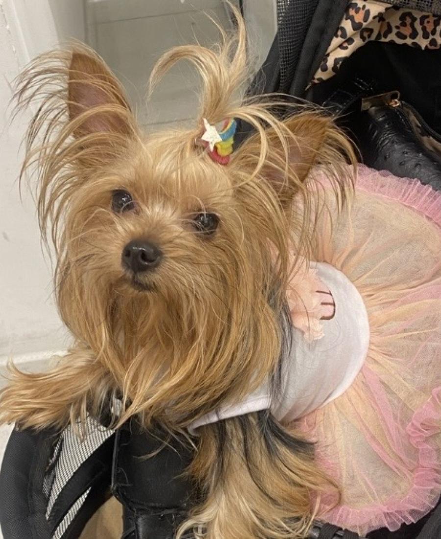 Princess
