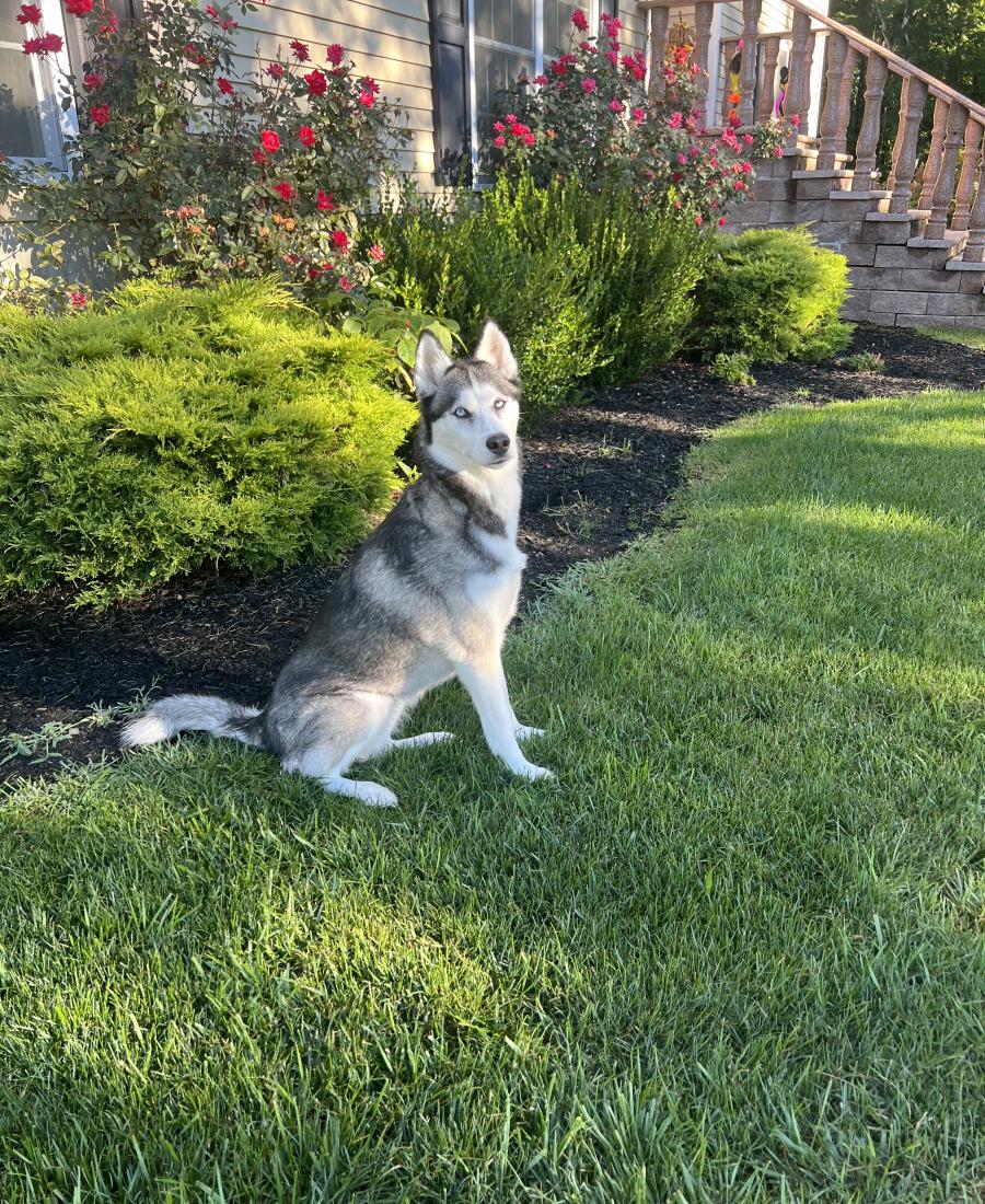 Luna