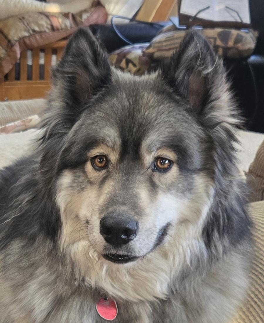 Jax