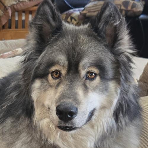 Jax