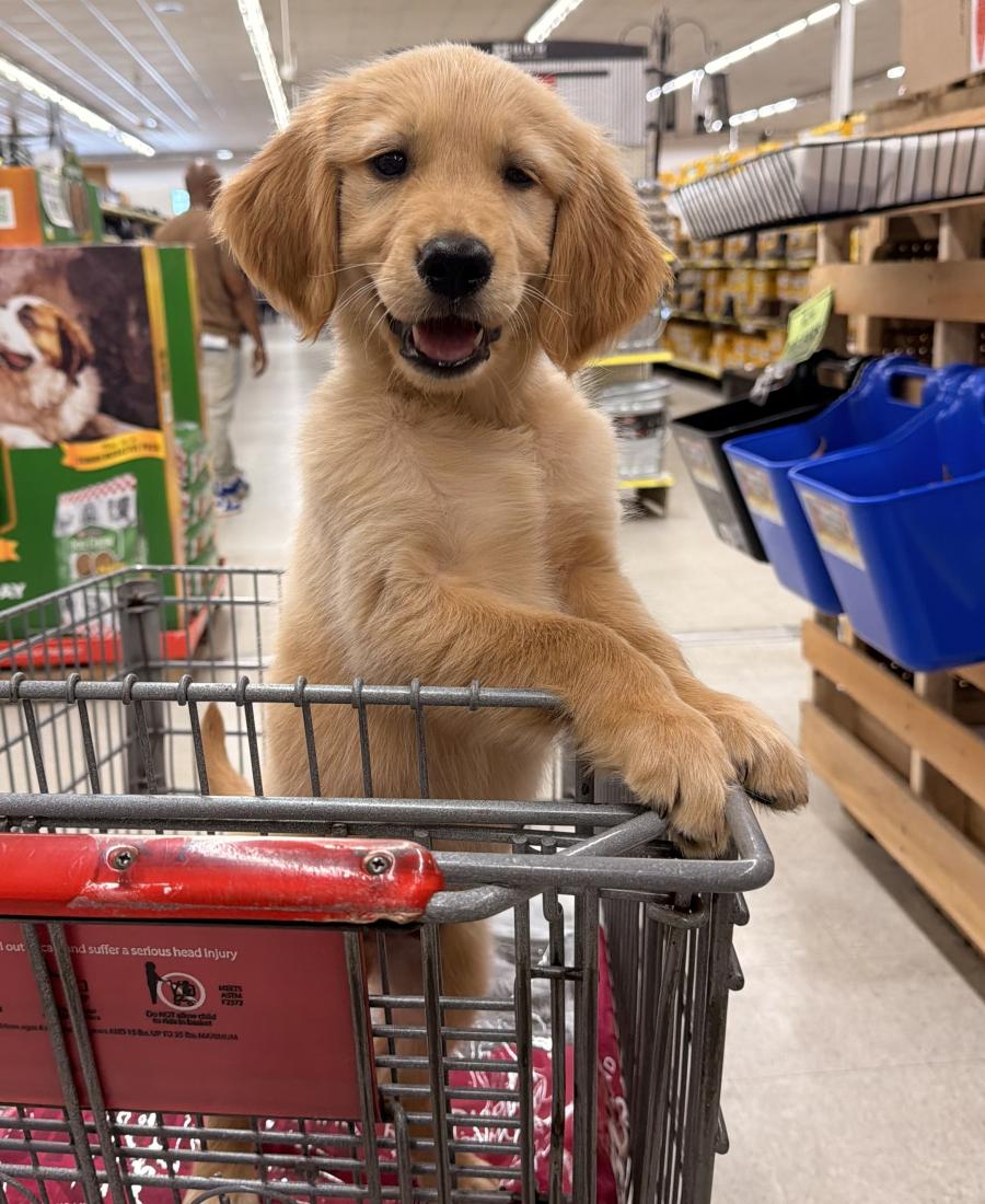 Bo