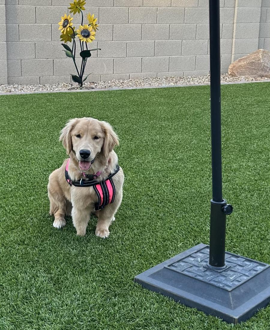 Miss Savannah Hope
