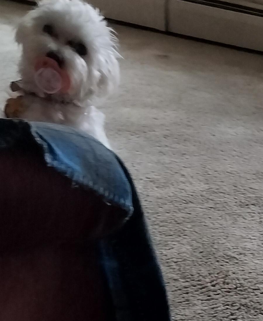 Prince
