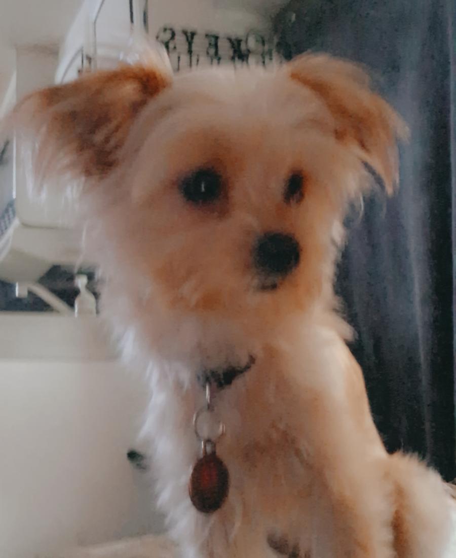 Khloe Sue