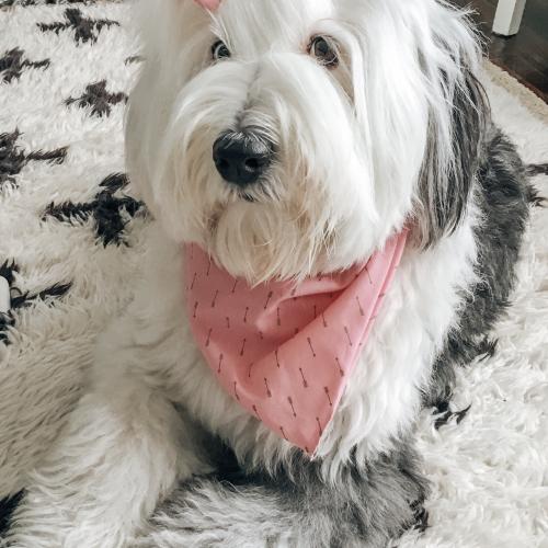 Gwennie
