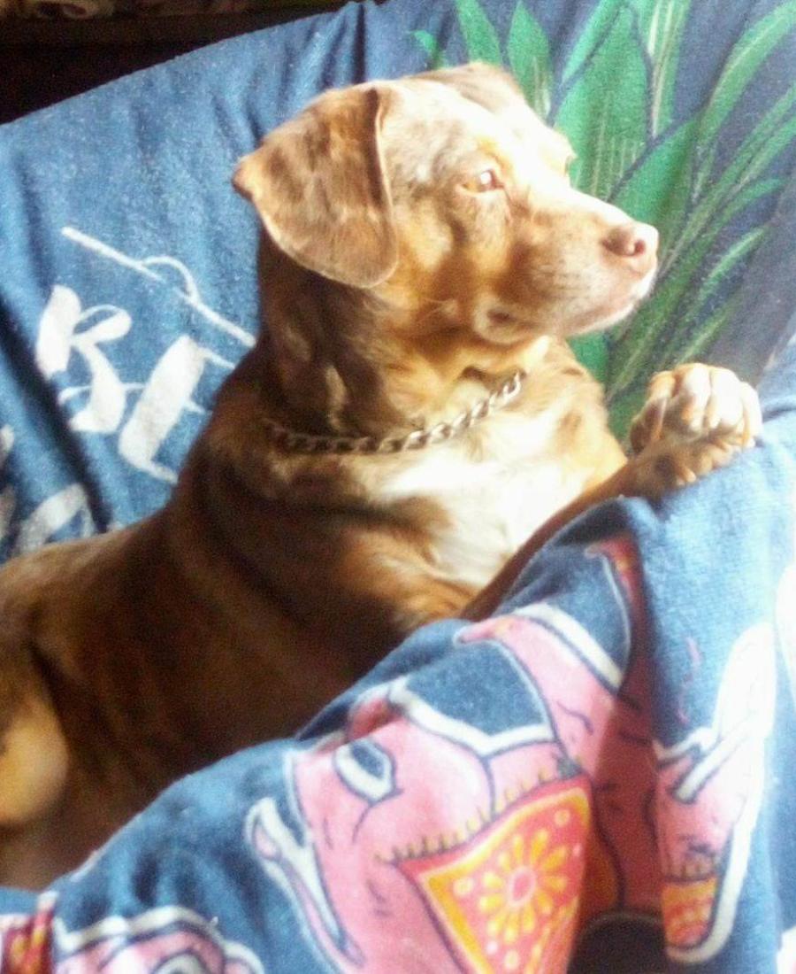 Copper