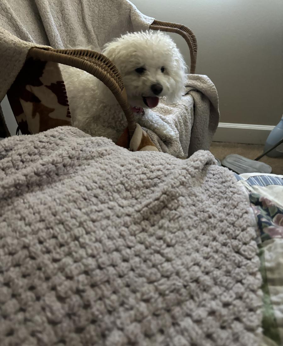 Penny