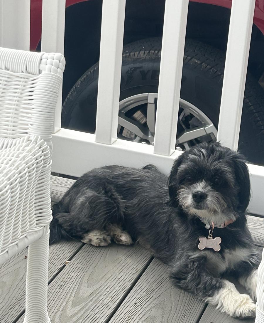 Lexi