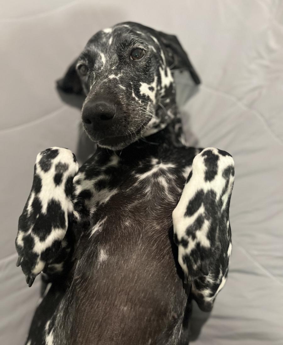 Winnie