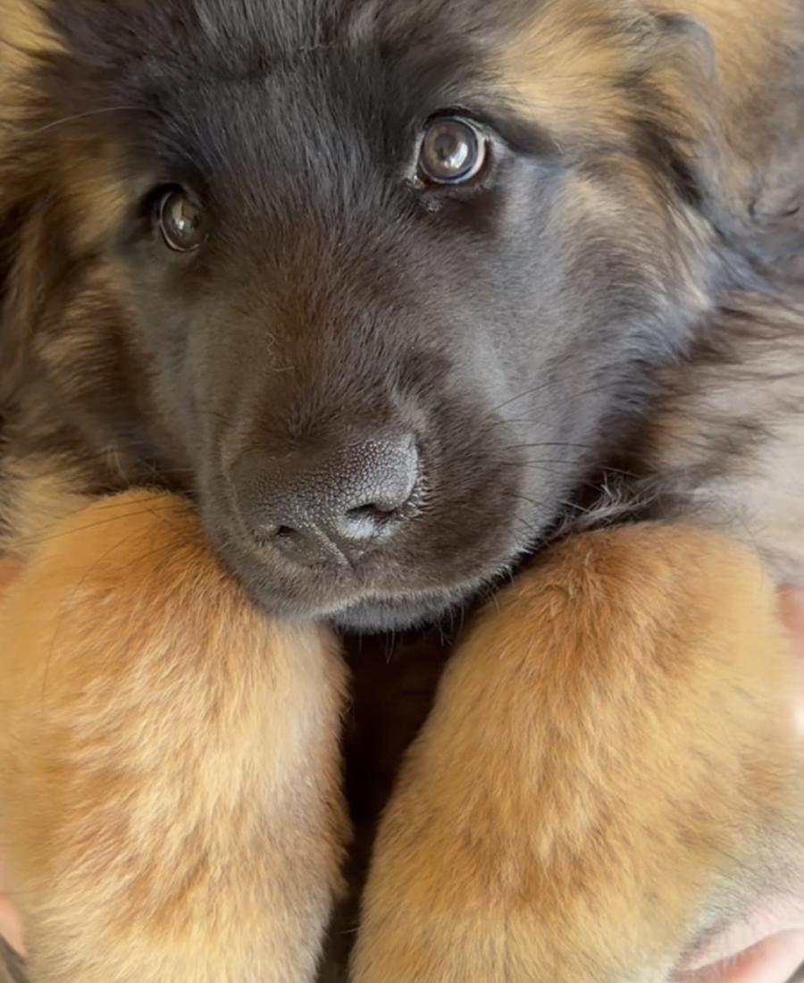 Duncan