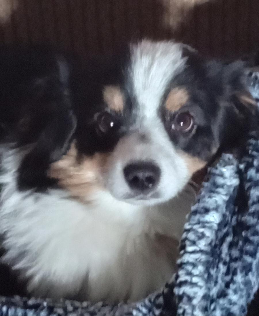 Charlie