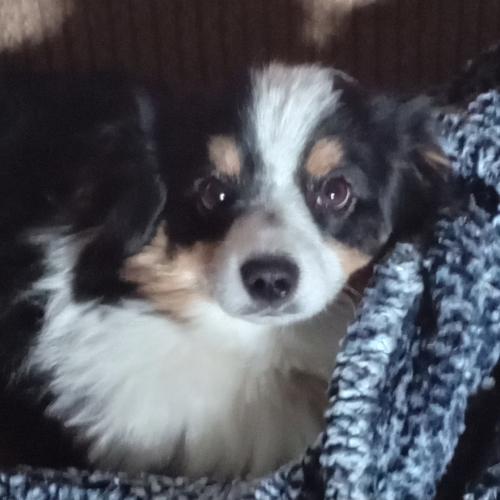 Charlie