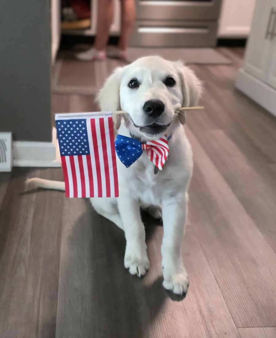 Apollo