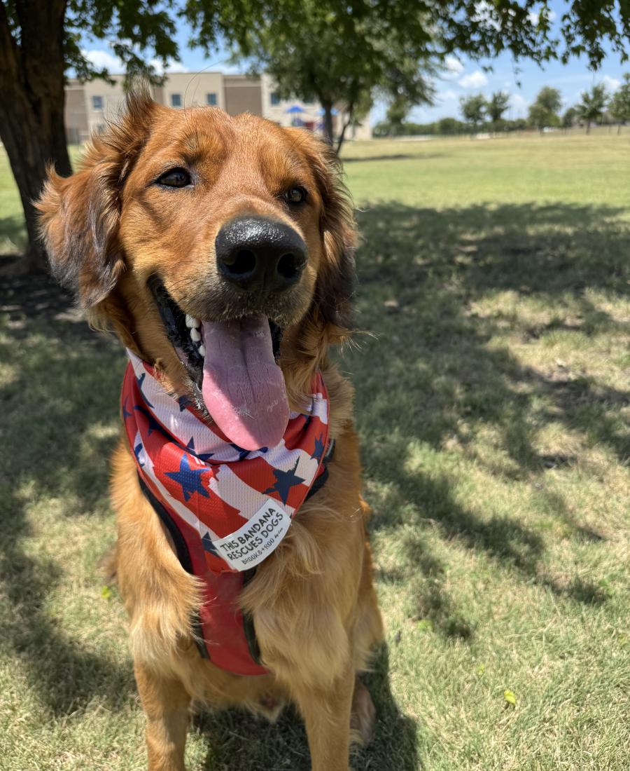 Cooper