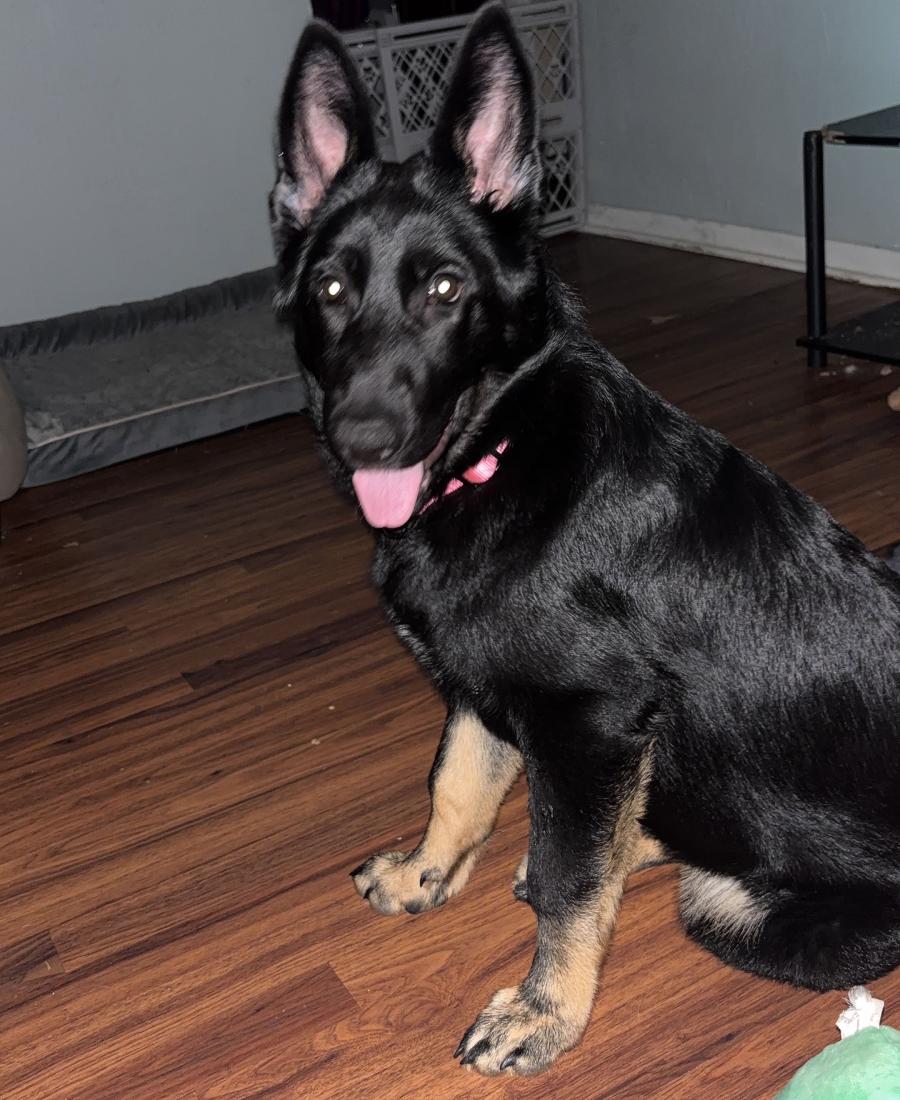Athena