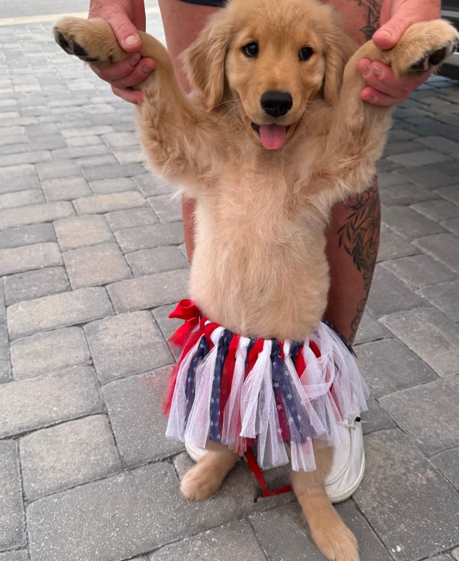 Maggie Mae